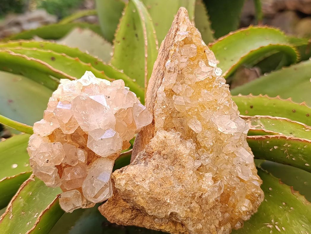 Natural Limonite Quartz Clusters x 7 From Solwezi, Zambia