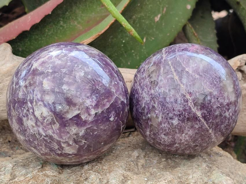 Polished Lepidolite Spheres x 2 From Ambatondrazaka, Madagascar