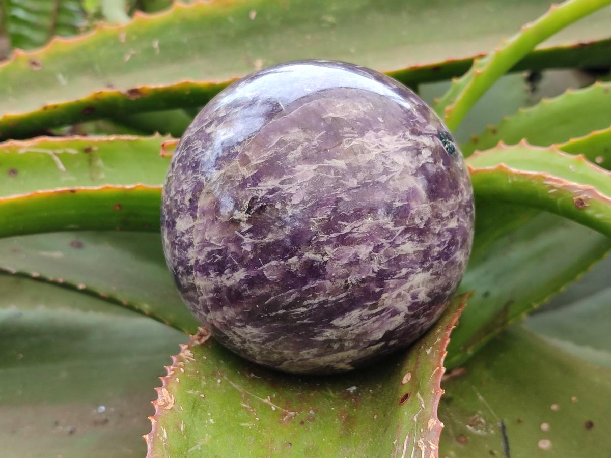 Polished Lepidolite Spheres x 2 From Ambatondrazaka, Madagascar