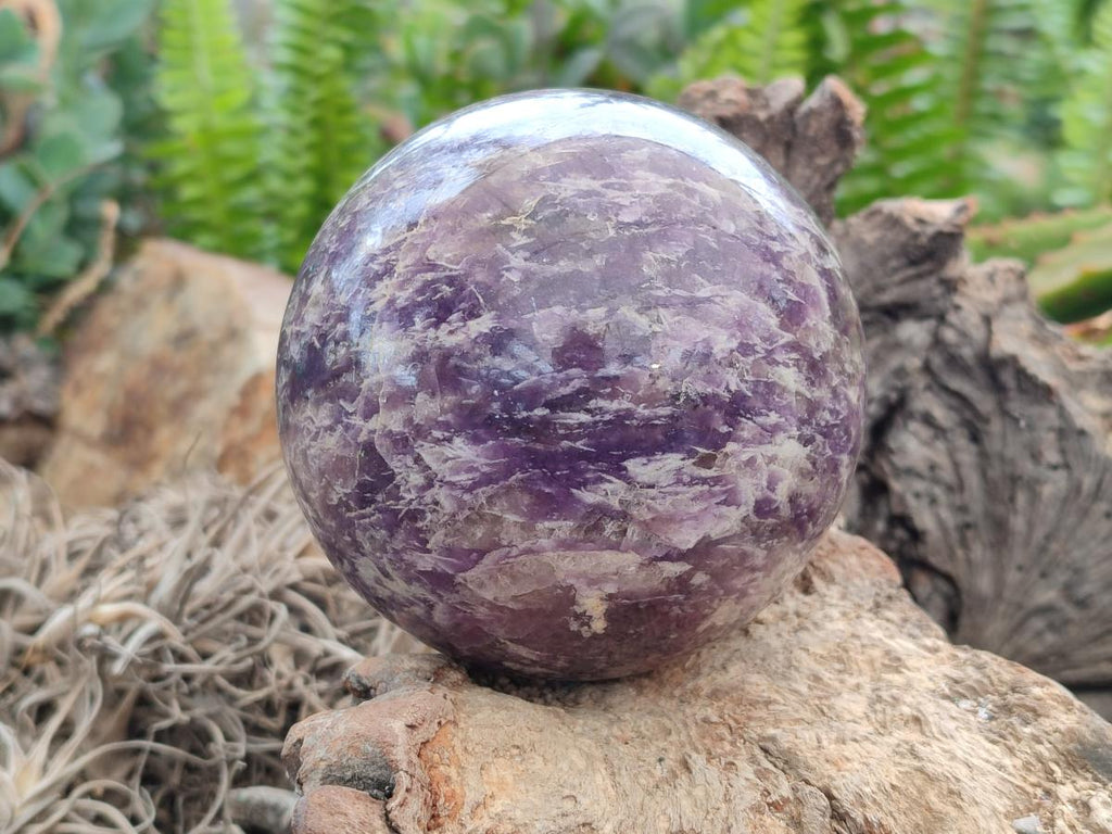 Polished Lepidolite Spheres x 2 From Ambatondrazaka, Madagascar