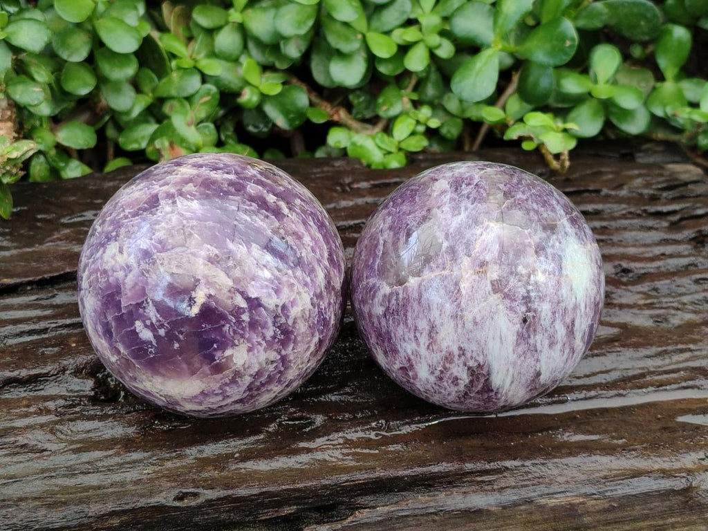 Polished Lepidolite Spheres x 2 From Ambatondrazaka, Madagascar