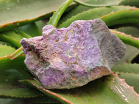 Natural Stichtite Cobbed Specimens x 5 From Barberton, South Africa