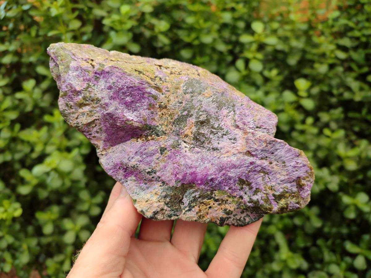 Natural Stichtite Cobbed Specimens x 5 From Barberton, South Africa
