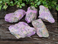 Natural Stichtite Cobbed Specimens x 5 From Barberton, South Africa