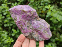 Natural Stichtite Cobbed Specimens x 5 From Barberton, South Africa