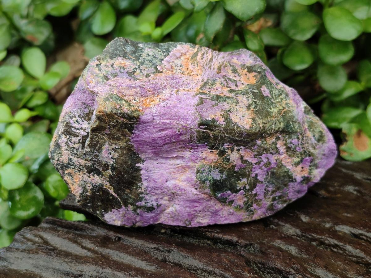 Natural Stichtite Cobbed Specimens x 5 From Barberton, South Africa