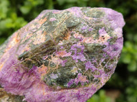 Natural Stichtite Cobbed Specimens x 5 From Barberton, South Africa