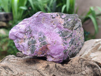 Natural Stichtite Cobbed Specimens x 5 From Barberton, South Africa