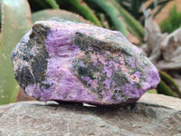 Natural Stichtite Cobbed Specimens x 5 From Barberton, South Africa