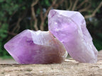 Natural Jacaranda Amethyst Single Crystals x 12 From Mumbwa, Zambia