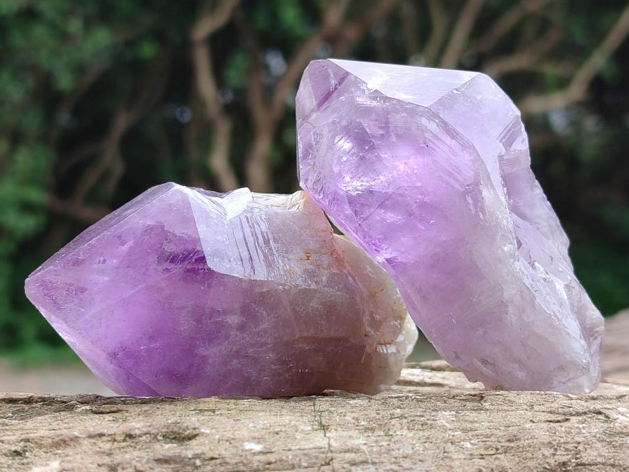 Natural Jacaranda Amethyst Single Crystals x 12 From Mumbwa, Zambia