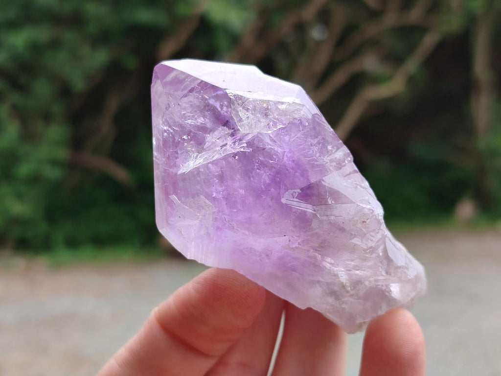 Natural Jacaranda Amethyst Single Crystals x 12 From Mumbwa, Zambia