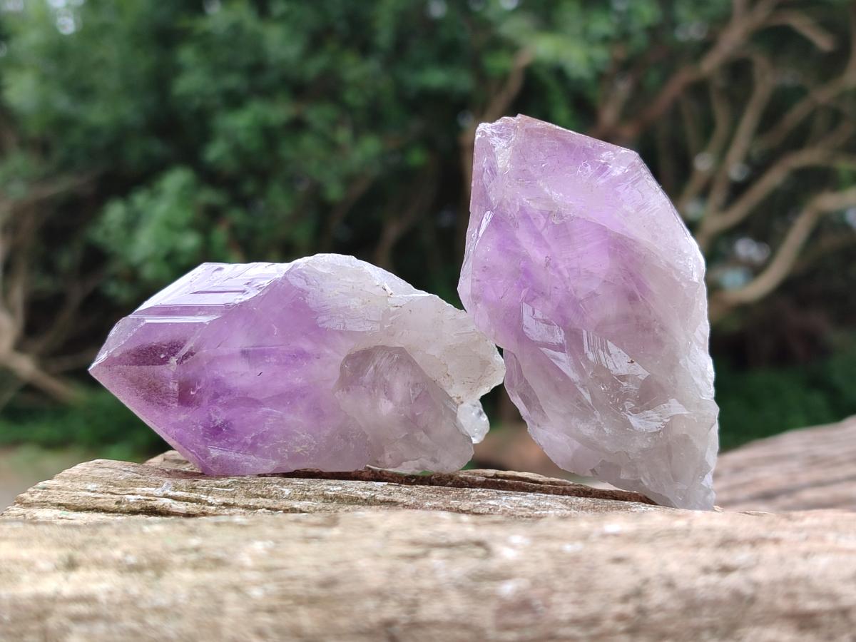 Natural Jacaranda Amethyst Single Crystals x 12 From Mumbwa, Zambia