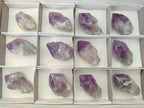 Natural Jacaranda Amethyst Single Crystals x 12 From Mumbwa, Zambia
