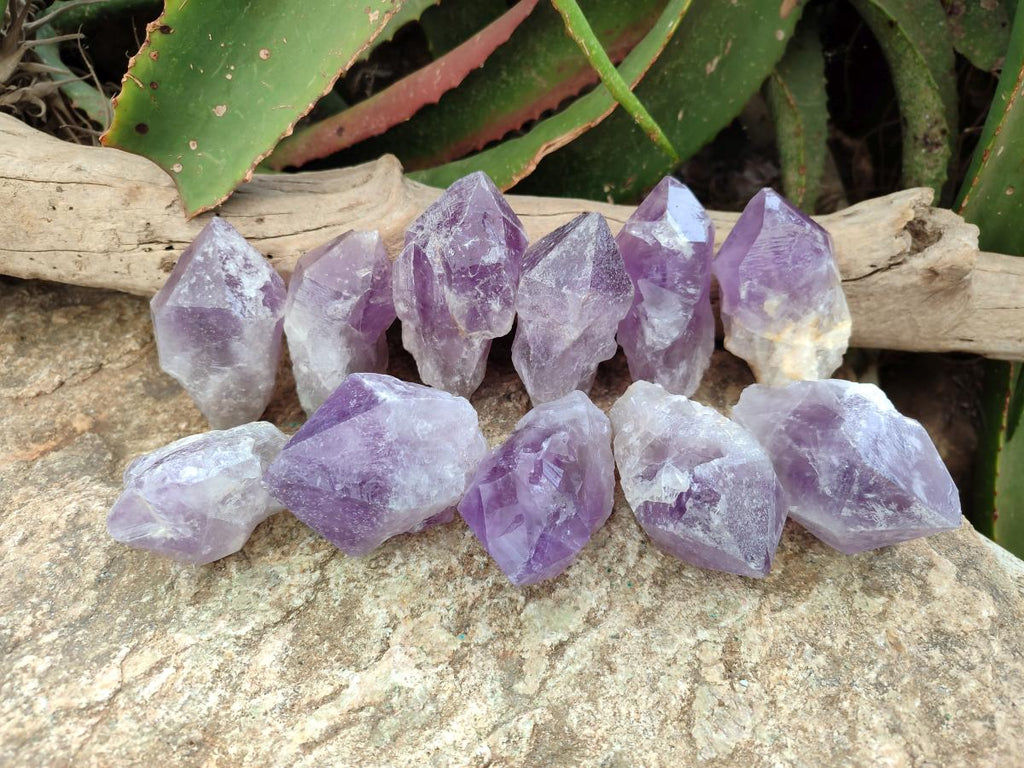 Natural Jacaranda Amethyst Single Crystals x 12 From Mumbwa, Zambia