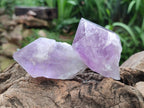 Natural Jacaranda Amethyst Single Crystals x 12 From Mumbwa, Zambia
