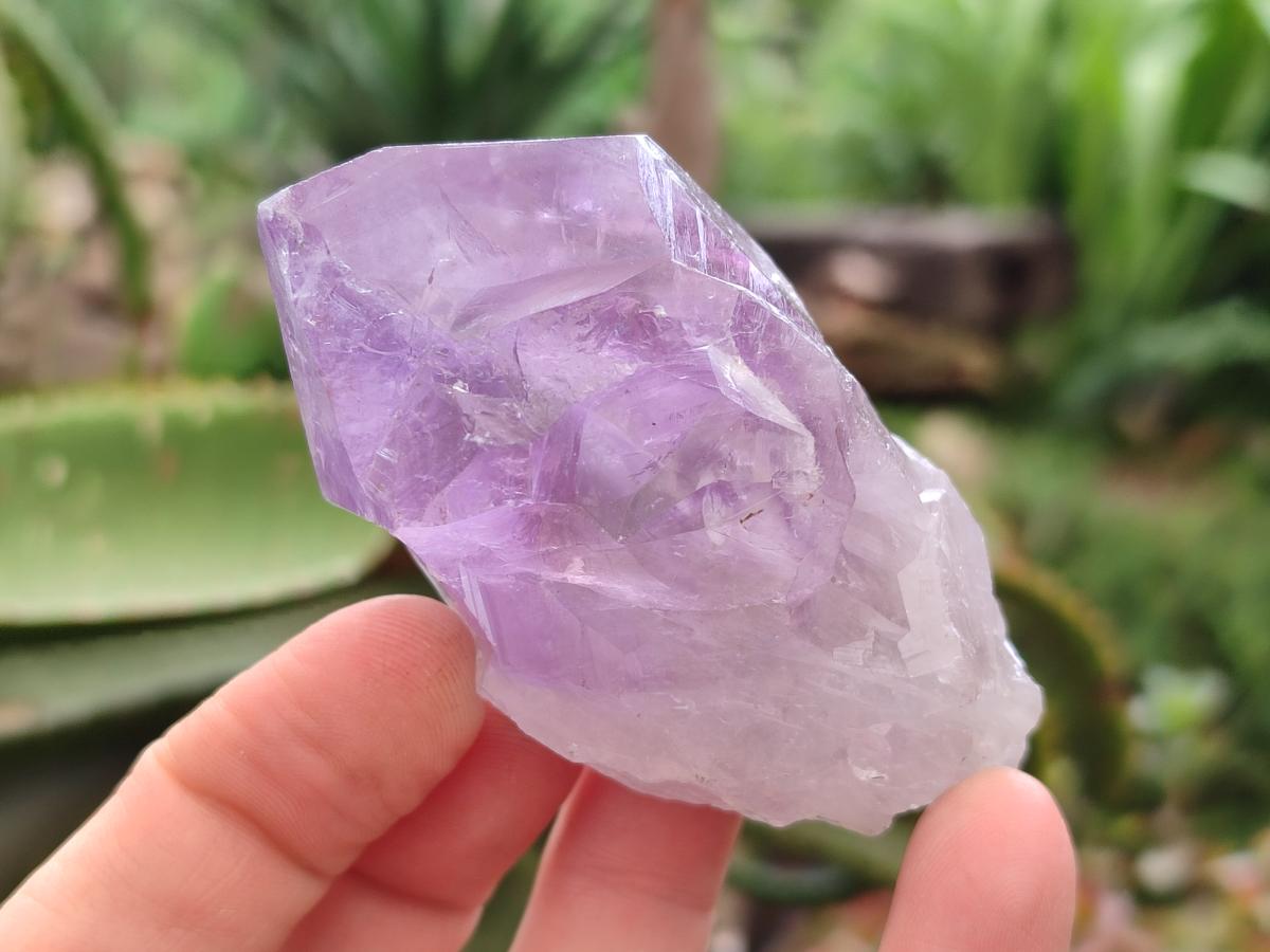 Natural Jacaranda Amethyst Single Crystals x 12 From Mumbwa, Zambia