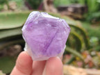 Natural Jacaranda Amethyst Single Crystals x 12 From Mumbwa, Zambia