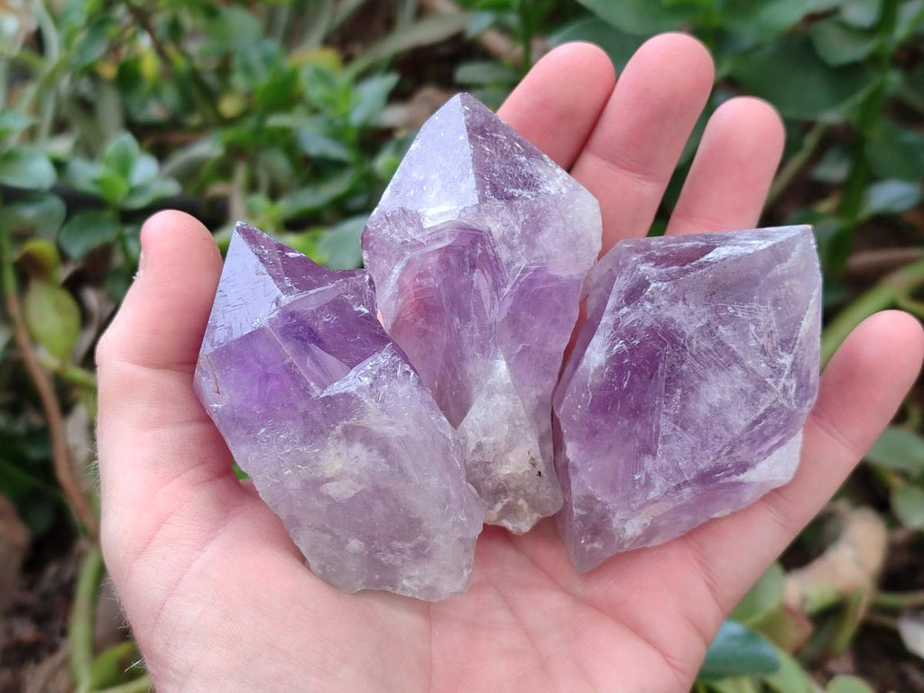 Natural Jacaranda Amethyst Single Crystals x 12 From Mumbwa, Zambia