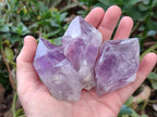 Natural Jacaranda Amethyst Single Crystals x 12 From Mumbwa, Zambia