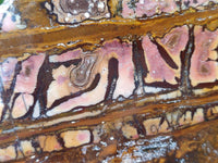 Polished On One Side Nguni Jasper Slice x 1 From Northern Cape, South Africa