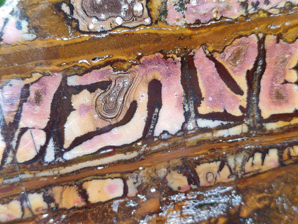 Polished On One Side Nguni Jasper Slice x 1 From Northern Cape, South Africa