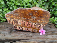 Polished On One Side Nguni Jasper Slice x 1 From Northern Cape, South Africa