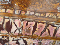 Polished On One Side Nguni Jasper Slice x 1 From Northern Cape, South Africa