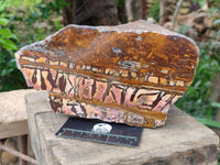 Polished On One Side Nguni Jasper Slice x 1 From Northern Cape, South Africa