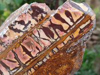 Polished On One Side Nguni Jasper Slice x 1 From Northern Cape, South Africa