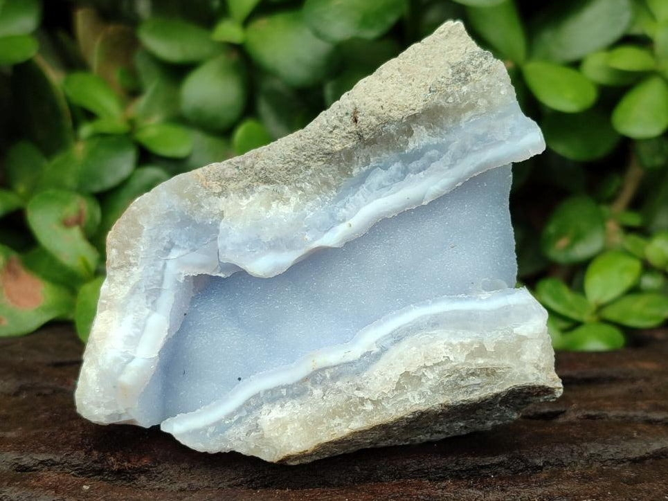 Natural Blue Lace Agate Geode Specimens x 12 From Nsanje, Malawi