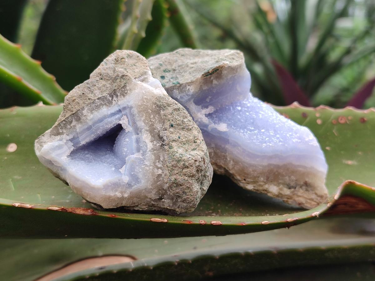 Natural Blue Lace Agate Geode Specimens x 12 From Nsanje, Malawi