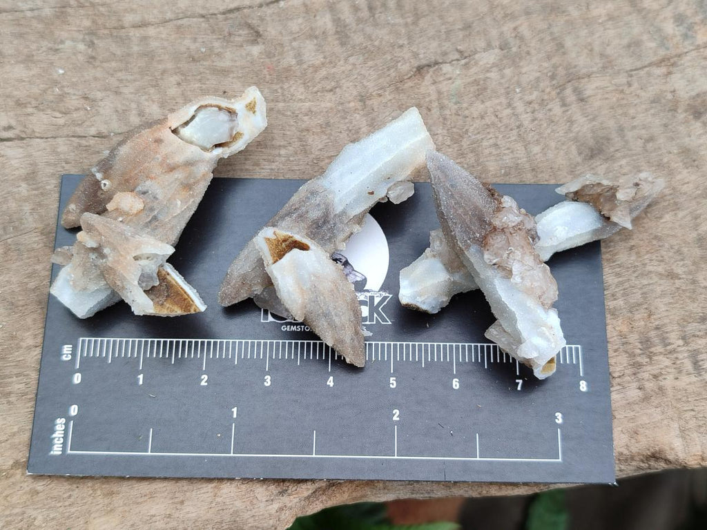 Natural Drusy Quartz Coated Black Tipped Calcite Pseudomorph Specimens x 70 From Albert's Mountain, Lesotho