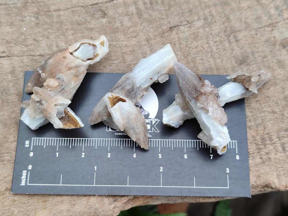 Natural Drusy Quartz Coated Black Tipped Calcite Pseudomorph Specimens x 70 From Albert's Mountain, Lesotho