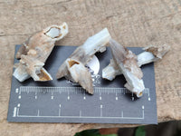 Natural Drusy Quartz Coated Black Tipped Calcite Pseudomorph Specimens x 70 From Albert's Mountain, Lesotho