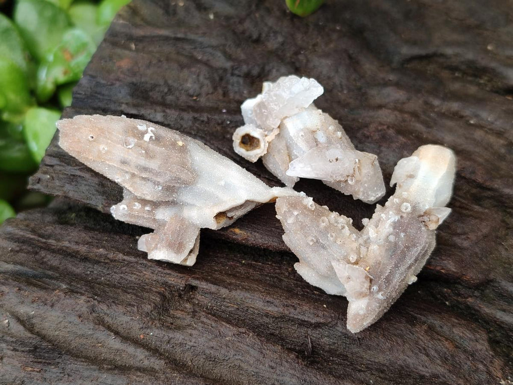 Natural Drusy Quartz Coated Black Tipped Calcite Pseudomorph Specimens x 70 From Albert's Mountain, Lesotho