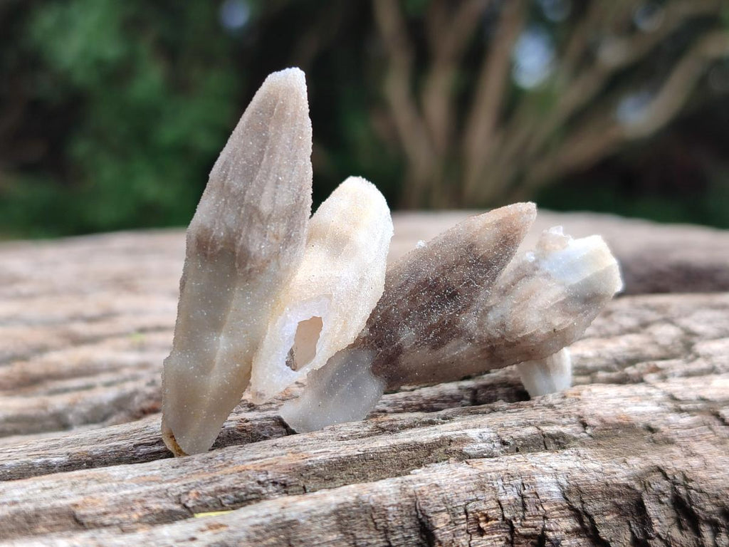Natural Drusy Quartz Coated Black Tipped Calcite Pseudomorph Specimens x 70 From Albert's Mountain, Lesotho