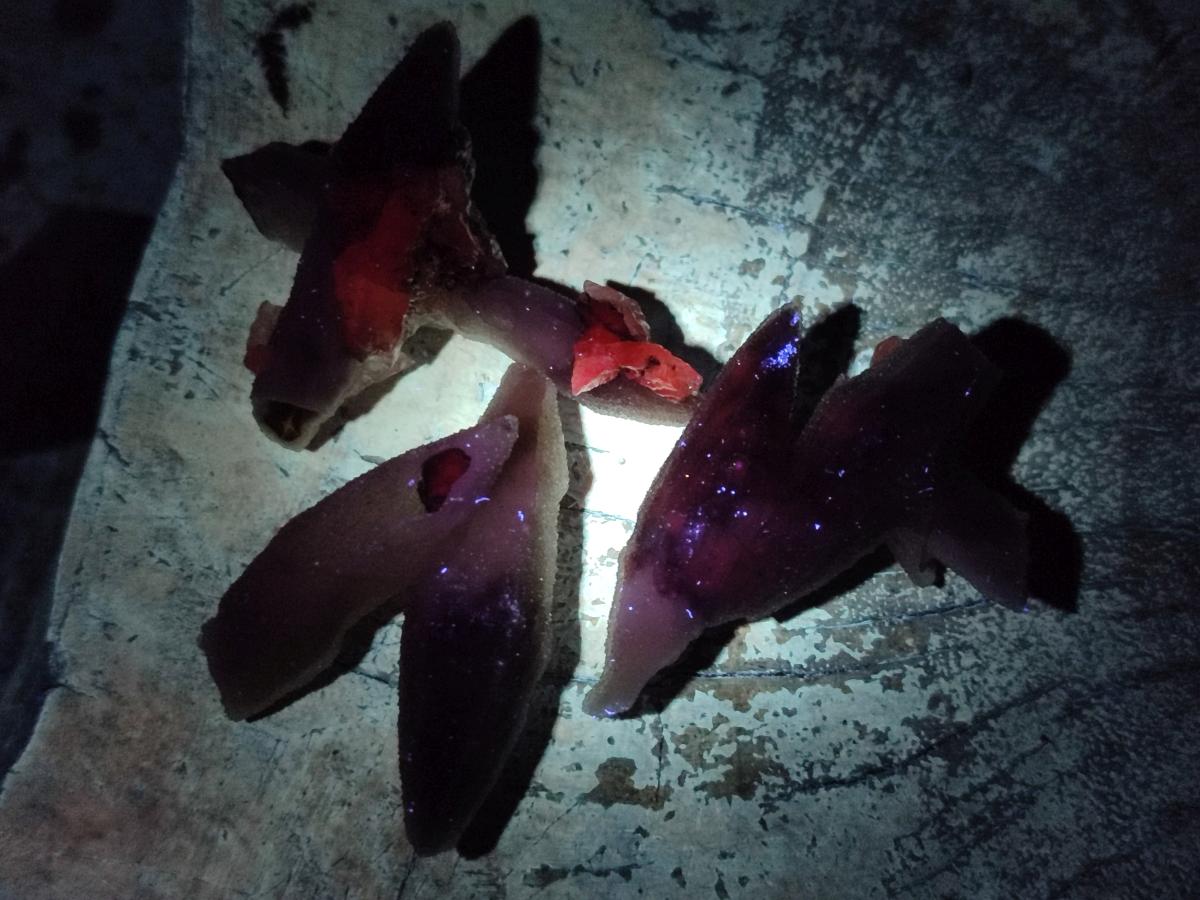 Natural Drusy Quartz Coated Black Tipped Calcite Pseudomorph Specimens x 70 From Albert's Mountain, Lesotho