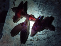 Natural Drusy Quartz Coated Black Tipped Calcite Pseudomorph Specimens x 70 From Albert's Mountain, Lesotho