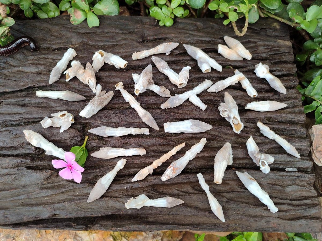 Natural Drusy Quartz Coated Black Tipped Calcite Pseudomorph Specimens x 70 From Albert's Mountain, Lesotho