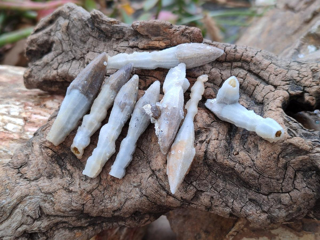 Natural Drusy Quartz Coated Black Tipped Calcite Pseudomorph Specimens x 70 From Albert's Mountain, Lesotho
