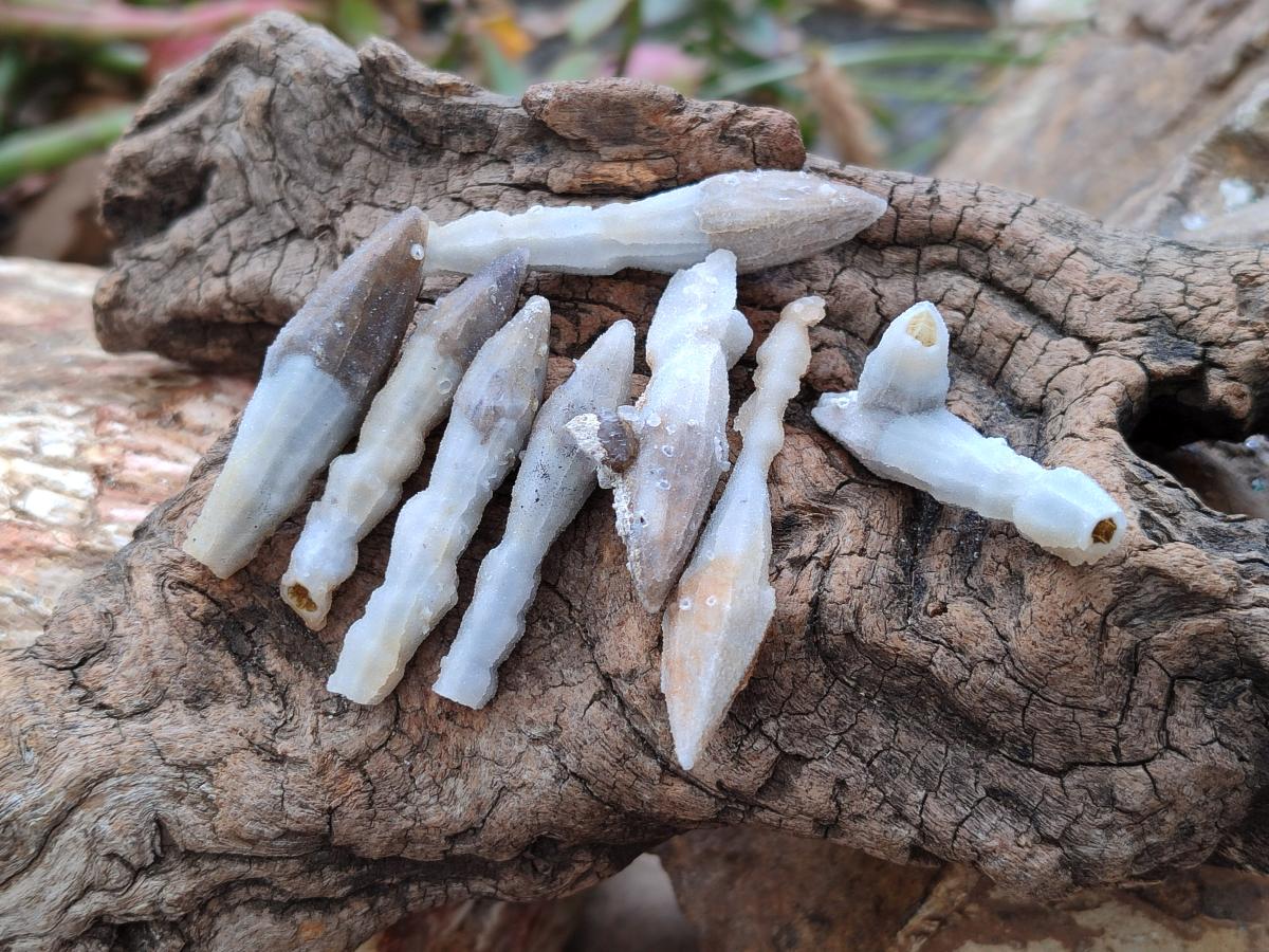Natural Drusy Quartz Coated Black Tipped Calcite Pseudomorph Specimens x 70 From Albert's Mountain, Lesotho