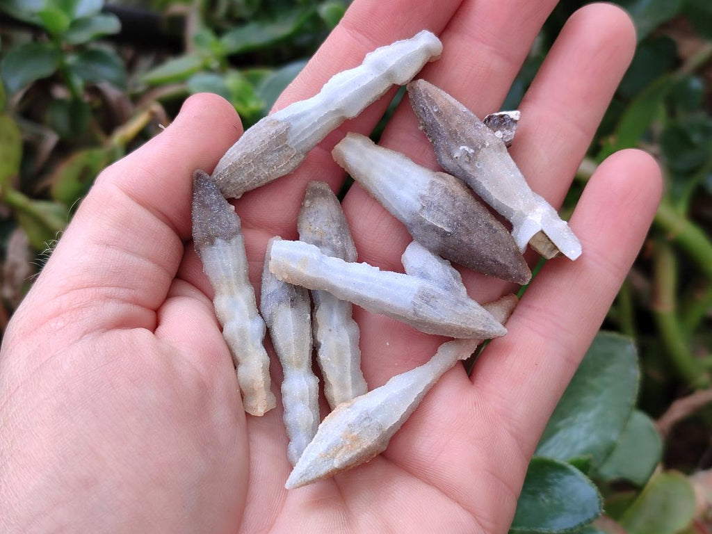 Natural Drusy Quartz Coated Black Tipped Calcite Pseudomorph Specimens x 70 From Albert's Mountain, Lesotho