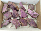 Natural Metallic Silky Purpurite Cobbed Specimens x 12 From Erongo, Namibia