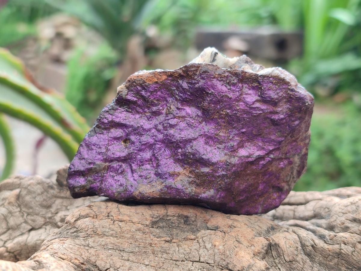 Natural Metallic Silky Purpurite Cobbed Specimens x 12 From Erongo, Namibia