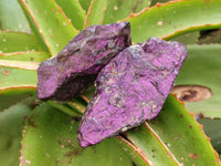 Natural Metallic Silky Purpurite Cobbed Specimens x 12 From Erongo, Namibia