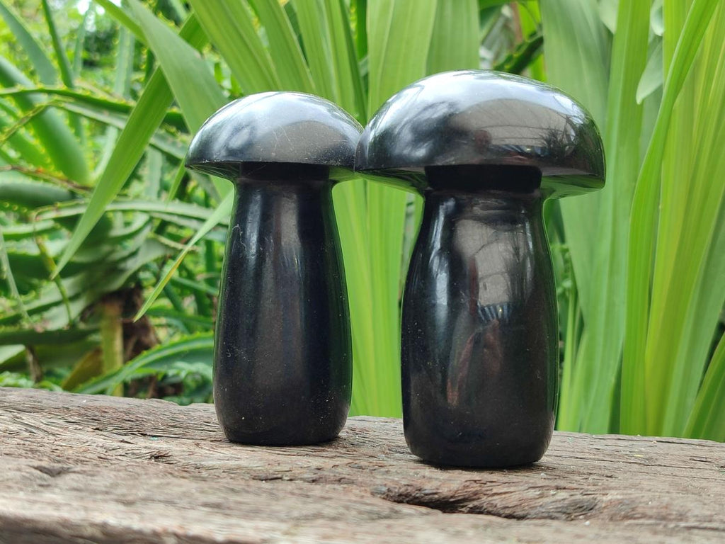 Polished Black Basalt Mushrooms x 3 From Madagascar