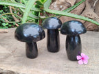Polished Black Basalt Mushrooms x 3 From Madagascar