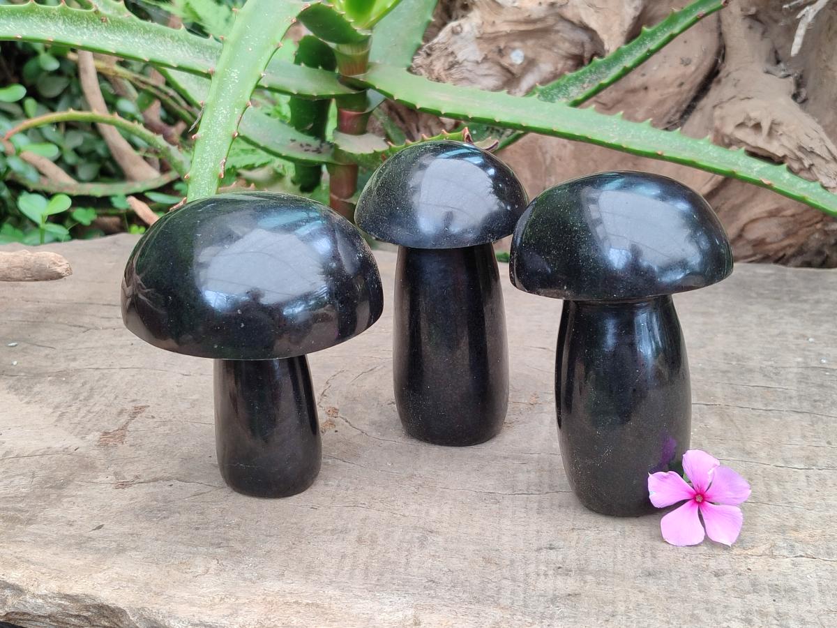 Polished Black Basalt Mushrooms x 3 From Madagascar