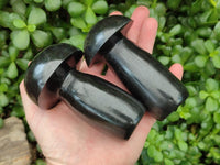 Polished Black Basalt Mushrooms x 3 From Madagascar